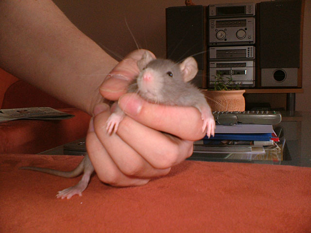 DSCF1557.jpg