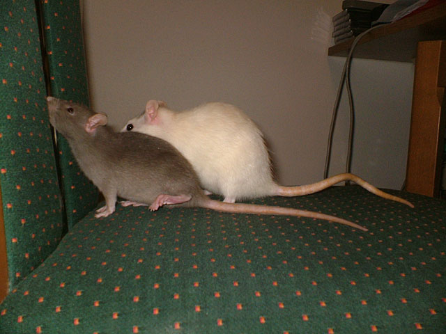 DSCF1594.jpg