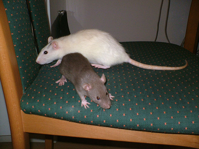 DSCF1601.jpg