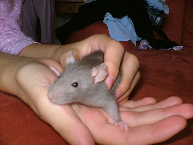 DSCF1565.jpg