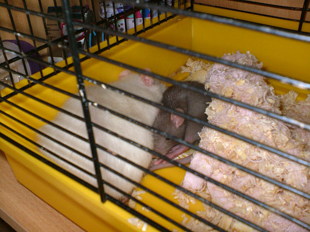DSCF1571.jpg