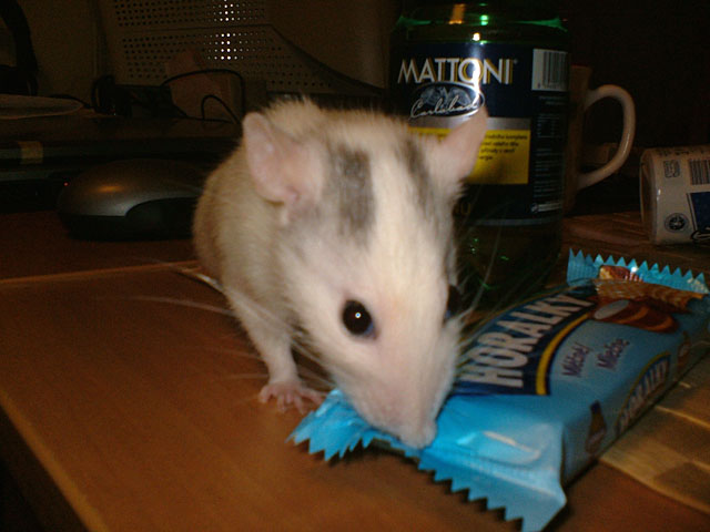 DSCF1576.jpg