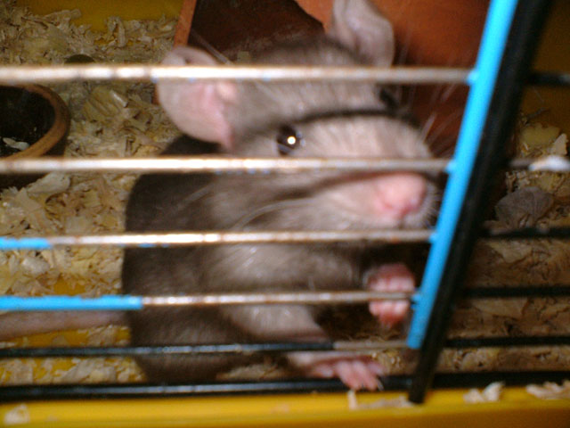 DSCF1587.jpg