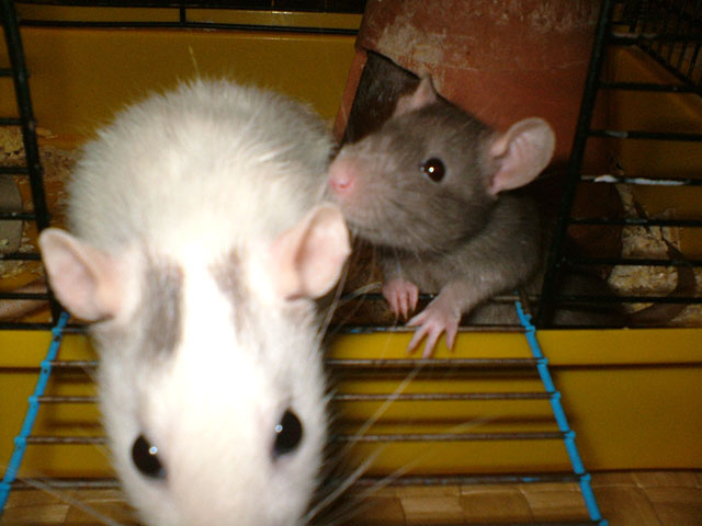 DSCF1589.jpg