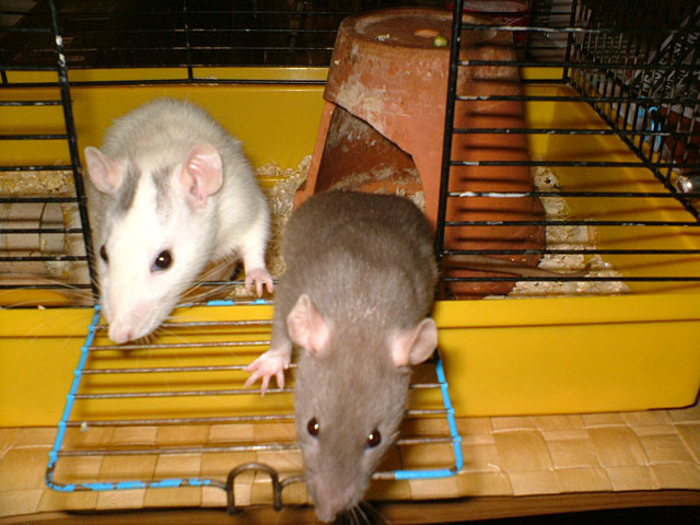 DSCF1590.jpg