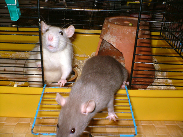 DSCF1591.jpg
